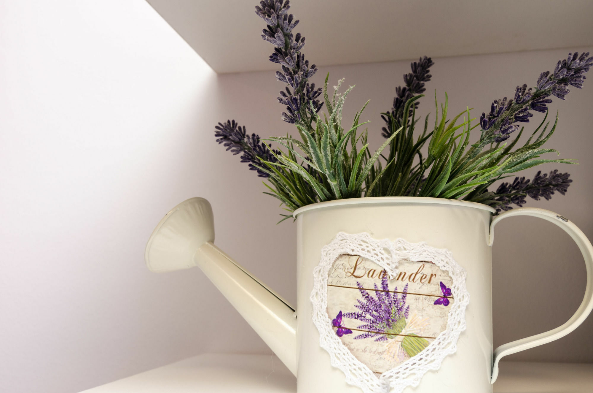 Lavender Garden *